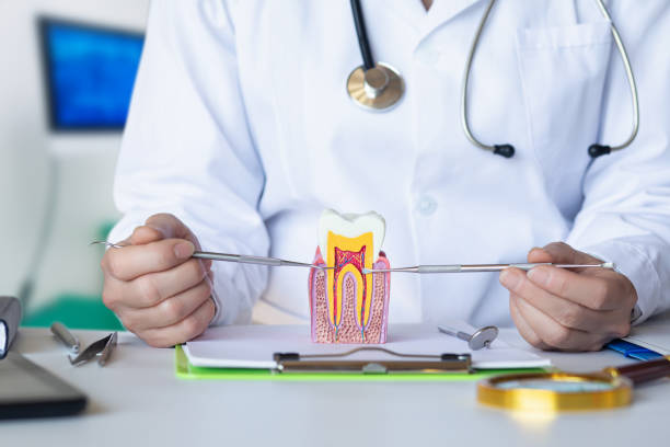 Best Emergency Wisdom Teeth Removal in Renovo, PA